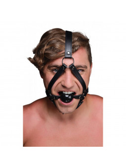 head harness + ball gag