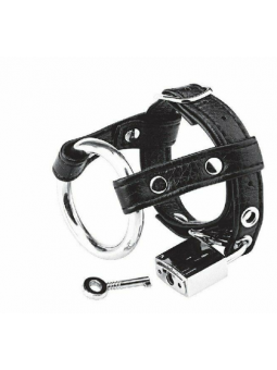 copy of C&B Gear ANEL...