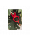 DEVOL COCKRING