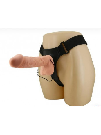 ARNÊS BAILE ULTRA...