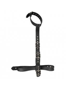 COLEIRA DE PESCOÇO E PULSOS...